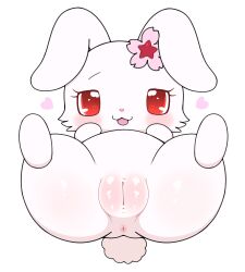ruby (jewelpet) from jewelpet by azuo