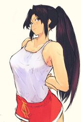 mai shiranui from capcom by yuenibushi