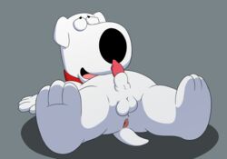 3_toes absurd_res animal_genitalia animal_penis anus ass balls brian_griffin canid canine canine_penis canis domestic_dog family_guy hi_res lying magzol male male_only mammal on_back penis solo toes tongue