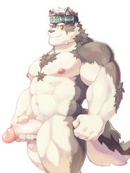 2019 accessory anthro arm_tuft balls big_muscles big_penis black_nose blackmonster canid canine canis chest_tuft elbow_tufts fur grey_body grey_fur headband horkeukamui humanoid_penis looking_at_viewer male male_only mammal multicolored_body multicolored_fur muscular muscular_male nipples nude penis pink_nipples simple_background smile solo standing thick_penis tokyo_afterschool_summoners tuft two_tone_body two_tone_fur video_games white_background white_body white_fur wolf yellow_eyes