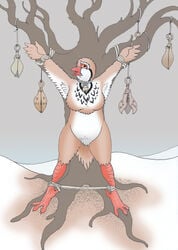 avian bird bondage bound female galliform no_humans partridge salkafar torture_pear