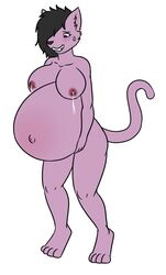 angel_graves anthro belly big_belly black_hair blue_eyes blush bodily_fluids derrysome domestic_cat felid feline felis female fluffy_ears fur hair hand_on_stomach hi_res huge_belly lactating mammal navel nipples nude pink_body pink_fur pregnant ready_to_pop simple_background smile solo sweat sweatdrop white_background