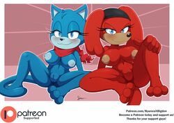 2019 anthro bigdon1992 blue_the_cat breasts canid canine duo fan_character female female_only invalid_tag mammal nipples nude nyuroraxbigdon patreon pussy redd_the_dog sega sonic_(series) sonic_forces sonic_the_hedgehog_(series) video_games