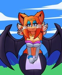 rouge the bat from sonic (series) by superbunnygt