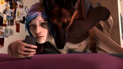 3d animated bestiality blueberg canine chloe_price dog female feral feral_penetrating feral_penetrating_human german_shepherd human human_penetrated interspecies life_is_strange male no_sound recording smartphone source_filmmaker tagme video zoophilia