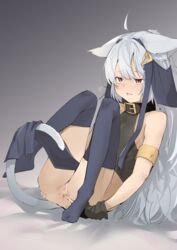 animal_ears anus armlet asymmetrical_legwear blue_hair blush cat_ears cat_tail catgirl collar covered_nipples eyebrows_visible_through_hair female gloves heart highres loincloth long_hair nipples no_bra no_panties original over-kneehighs red_eyes silver_hair single_glove single_thighhigh spread_anus tail thighhighs uno_ryoku