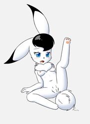 1girls alternate_breast_size animal_ears anus aurawing black_hair blue_eyes bokko breasts bunny_ears bunny_tail chest_tuft female fur furry hi_res kemono lagomorph leporid long_ears mammal neck_tuft nipples nude osamu_tezuka_works paws pussy rabbit short_hair solo spread_legs spreading tail the_amazing_3 tuft white_body white_fur