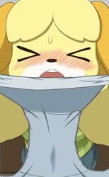 2019 animal_crossing animated anthro ass blush bodily_fluids canid canine canis clothing disembodied_hand domestic_dog duo female female_focus frame_by_frame fur genital_fluids isabelle_(animal_crossing) koorinezumi mammal nintendo offering_clothing offering_underwear panties panties_on_face panties_on_head pussy pussy_juice shih_tzu solo_focus standing text toy_dog translation_request underwear undressing video_games yellow_body yellow_fur