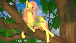 16:9 1futa 2019 3d animal_genitalia animal_penis balls clopician cutie_mark equid equine eyelashes feral fluttershy_(mlp) friendship_is_magic furry futa_only futanari gynomorph hi_res horseballs horsecock intersex mammal my_little_pony outside penis pterippus solo tongue wings yellow_body