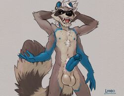 anthro balls big_balls big_penis crabbyraccoon erection genitals hi_res humanoid_genitalia humanoid_penis male male_only mammal multi_arm multi_limb nude penis procyonid raccoon solo standing