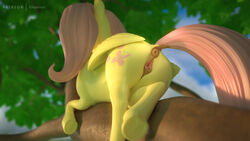 16:9 2019 3d 3d_(artwork) animal_genitalia animal_pussy anus ass clopician cutie_mark equid equine female feral fluttershy_(mlp) friendship_is_magic hi_res hooves horsepussy mammal my_little_pony outside pterippus pussy solo underhoof wings