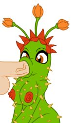 breasts cactus cactus_(pvz) edit fellatio oral penis plant_humanoid plantie plants_vs_zombies screwroot