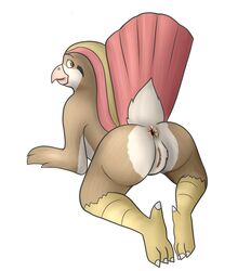 1girls absurd_res anthro anus ass avian bird feathers female hi_res nintendo original_character pidgeot pokémon_(species) pokemon pokemon_rgby presenting pussy solo source_request video_games wings