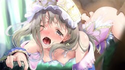 ass_grab atelier atelier_rorona atelier_totori crying rape sex tagme