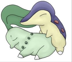 chikorita cyndaquil hinorashi nintendo pokemon