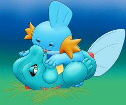 ambiguous/ambiguous average mudkip pokemon pokemon_(species) pokemon_gsc pokemon_rse tagme totodile