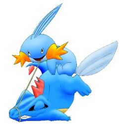 ambiguous_gender average closed_eyes male/ambiguous mudkip no_humans pokemon pokemon_(species) pokemon_gsc pokemon_rse rope totodile transparent_background