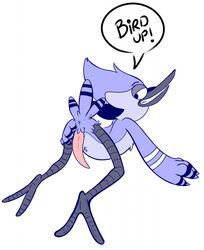 anthro ass avian beak bird bird_feet blue_jay cartoon_network corvid dialogue fatigue_(artist) feathers genitals hi_res jay_(bird) male male_only mordecai_(regular_show) new_world_jay penis presenting presenting_hindquarters regular_show solo speech_bubble text