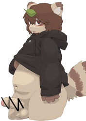 2019 anthro balls blush brown_body brown_fur canid canine censored clothing fur hoodie humanoid_hands humanoid_penis leaf male male_only mammal penis raccoon_dog si_ra_ta_ma3 slightly_chubby solo tanuki topwear