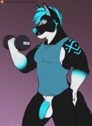 2019 abs anthro axis_nightstorm_(virtualrage) balls biped black_body black_fur blue_eyes blue_hair blue_nose blue_penis bottomless canid canine canis cheek_tuft claws clothed clothing dumbbell exercise facial_tuft fingers flaccid fur gradient_background hair hand_on_butt holding_object looking_away male male_only mammal masonparker muscular muscular_male nipples patreon pecs penis shirt signature simple_background solo standing tank_top text three-quarter_view topwear tuft uncut url weights white_body white_fur wolf workout