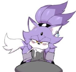 blaze the cat from outcome memories by feladrine