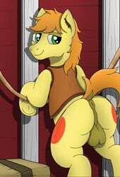 absurd_res anus backsack balls braeburn_(mlp) equid equine feral friendship_is_magic hi_res looking_back male male_only mammal my_little_pony perineum solo tacomytaco