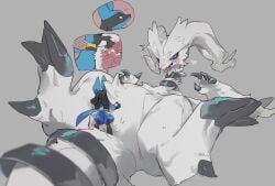 anthro biped black_body blue_tail blush bodily_fluids duo erection female female_penetrated fur generation_4_pokemon generation_5_pokemon genitals heart_symbol hi_res legendary_pokemon lucario macro male male/female male_penetrating male_penetrating_female nintendo penetration penile penile_penetration penis pokemon pokemon_(species) ramssa reshiram sex simple_background sweat tail vaginal vaginal_penetration white_body white_fur