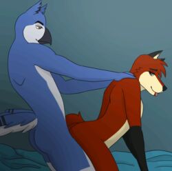 anal anal_sex animated anthro avian bird canid canine deanwolfwood digital_media_(artwork) duo invalid_tag male male/male mammal penetration penis sex tongue