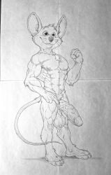 1boy 2026 2d 2d_(artwork) 2d_artwork anthro ballsack biceps big_balls big_muscles big_penis chuck_e_cheese chuck_e_cheese_(franchise) cock dick furry furry_male male mascot mouse mouse_ears mouse_tail muscles muscular muscular_male naked naked_male nude nude_male penis rodent rodent_humanoid rodent_tail solo testicles traditional_art traditional_drawing_(artwork) traditional_media traditional_media_(artwork) utx-shapeshifter