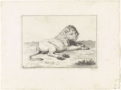1729 18th_century absurd_res ancient_art backsack balls bedroom_eyes bernard_picart digitigrade felid feral genitals grass hatching_(art) hi_res lion lying lying_on_ground male male_feral mammal mane monochrome narrowed_eyes on_ground pantherine pawpads paws plant public_domain quadruped seductive shaded side_view signature solo tail tail_tuft traditional_media_(artwork) tuft whiskers