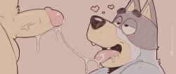 bandit heeler from bluey (series) by digitslayer