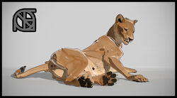 3d animal_genitalia animal_pussy anus ass claws cosmiclife fangs feet felid feline_pussy female female_only flat_chested fur furry hindpaw lion looking_at_viewer looking_back lying mammal nipples on_side pantherine pawpads paws pinup pose presenting_hindquarters pussy rear_view shukura_(cosmiclife) smile solo tan_body tan_fur teats teeth