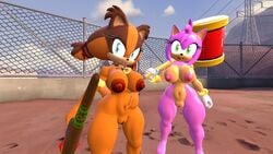 2017 2girls 3d 5_fingers amy_rose badger blue_eyes boomerang breasts female female_only gloves green_eyes hammer hedgehog kennythebobcat large_breasts nude nude_female orange_fur piko-piko_hammer piko_piko_hammer pink_fur pink_hair railing sega smile smiley_face smiling sonic_(series) source_filmmaker sticks_the_badger sticks_the_jungle_badger sticks_the_tejon video_games white_gloves