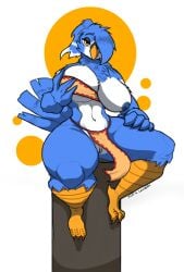 absurd_res anthro avian avian_feet beak bedroom_eyes big_breasts birb_cafe bird blue_body blue_feathers blue_nipples blue_tail bottomwear breasts budgerigar chelly_(birb_cafe) clothing feathers feet female hair half-closed_eyes hand_on_leg hand_on_own_breast hand_on_own_leg hi_res huge_thighs just-a-smidgen loincloth looking_at_viewer loriinae narrowed_eyes navel nipples parakeet parrot ponytail seductive solo tail tail_feathers talons thick_thighs toes true_parrot undressing vulva white_body white_feathers wide_hips winged_hands wings yellow_eyes