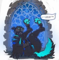 2023 4_toes andromorph andromorph_anthro anthro anus arm_tuft asking ass black_tail blue_eyes blue_fangs blue_pawpads blue_sclera blue_tail blue_vulva canid canine canis cuntboy digital_drawing_(artwork) digital_media_(artwork) digitigrade english_text feet glowing_pussy glowing_vulva good_boy hair harness harness_only hi_res humanoid_vulva intersex intersex_anthro legs_up looking_aside male mammal mostly_nude_andromorph mostly_nude_anthro pawpads ponytail solo speech_bubble tail text toes trans_(lore) trans_man_(lore) tritscrits tuft wolf