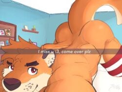 1boy 2025 anthro ass_up barley_clothed bedroom clothing ear_piercing face_tattoo furry lying_on_bed otter pak784 piercing plush_toy red_eyes snapchat solo solo_male sparkling_eyes stockings text thick_thighs