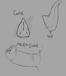 animal_genitalia description detailed_genitals dripping erect_pseudo-penis erection female feral genitals hi_res male penis petdear69 plump_labia pseudo-penis pussy simple_background slit_penis text vulva zero_pictured