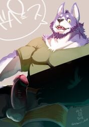 2018 anthro balls beard big_penis bodily_fluids clothing clothing_aside erection facial_hair flashing fur genital_fluids humanoid_penis japanese_text male male_only mammal muscular penis precum purple_body purple_fur shirt simple_background solo speech_bubble text tight_clothing tight_shirt tight_topwear topwear totemoii_029 underwear underwear_aside unknown_species white_body white_fur yellow_eyes