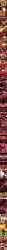 Post 21075240048