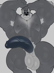 Absurd Res Rule 34 Image