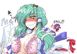 kanako yasaka from touhou by takana shinno