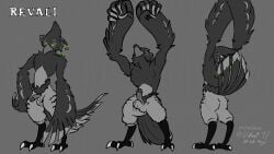 avian bird bodifoxy breath_of_the_wild digital_drawing_(artwork) furry humanoid inktober male_only nintendo reference_sheet revali rito the_legend_of_zelda udhasi97