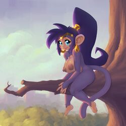 1girls animal_tail anthro blue_fur blue_hair earrings female female_only furry haplorhine large_breasts long_hair monkey monkey_girl monkey_shantae nitro nude ponytail primate purple_fur shantae shantae_(character) smooth_fur solo tail transformation tree