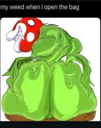 anthro ass balls big_butt bodily_fluids elemental_creature english_text eyeless flora_fauna gat0pussy24 genitals green_body green_skin huge_butt leaf leaf_arms markings nintendo nude pear-shaped_figure perineum piranha_plant plant red_body red_skin sharp_teeth simple_background smile smirk smug smug_face smug_grin spots spotted_body spotted_markings spotted_skin super_mario_bros. sweat sweatdrop teeth text thick_thighs white_background wide_hips