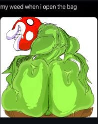 ambiguous_gender anthro ass balls big_butt bodily_fluids elemental_creature english_text eyeless flora_fauna gat0pussy24 genitals green_body green_skin huge_butt leaf leaf_arms letterbox mario_(series) mario_bros markings nintendo nude pear-shaped_figure perineum piranha_plant plant red_body red_skin sharp_teeth simple_background smile smirk smug smug_face smug_grin spots spotted_body spotted_markings spotted_skin sweat sweatdrop teeth text thick_thighs white_background wide_hips