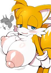 miles tails prower from sonic (series) by nekoyuu