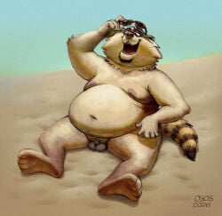2026 anthro balls beach belly big_belly eyewear genitals male male_focus mammal micropenis moobs navel nipples osos overweight overweight_male penis procyonid raccoon sitting small_penis solo sunglasses