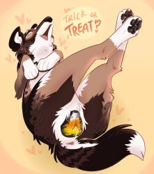 animal_genitalia animal_vulva blush brown_body brown_fur candy_corn_pattern canid canine canine_genitalia canine_vulva canis crossed_legs dialogue female feral fur genitals halloween hi_res holidays juniper_(fishymishy) legs_up looking_at_viewer lying mammal on_back painted_pussy pariahpuppy presenting presenting_vulva solo teasing trick-or-treating vulva white_body white_fur wolf