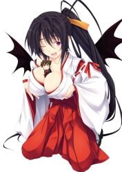 akeno himejima from high school dxd by miyama-zero