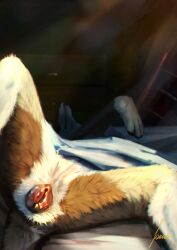 absurd_res animal_genitalia animal_vulva bed bedding bedroom blanket brown_body brown_fur canid canine canine_genitalia canine_vulva canis detailed detailed_background detailed_fur expose female feral fokker_(artist) fur furniture genitals hi_res inside juniper_(fishymishy) light lying lying_on_bed mammal on_back on_bed realistic_feral realistic_lighting solo spreading sunlight white_body white_fur wolf